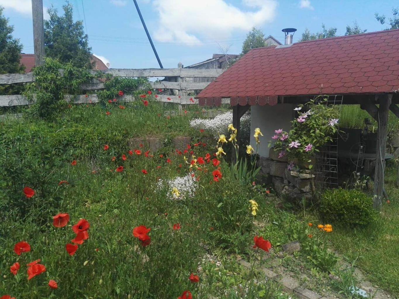 Gaestehaus Zum Gesundheitszentrum Matz Sulzdorf an der Lederhecke Екстериор снимка