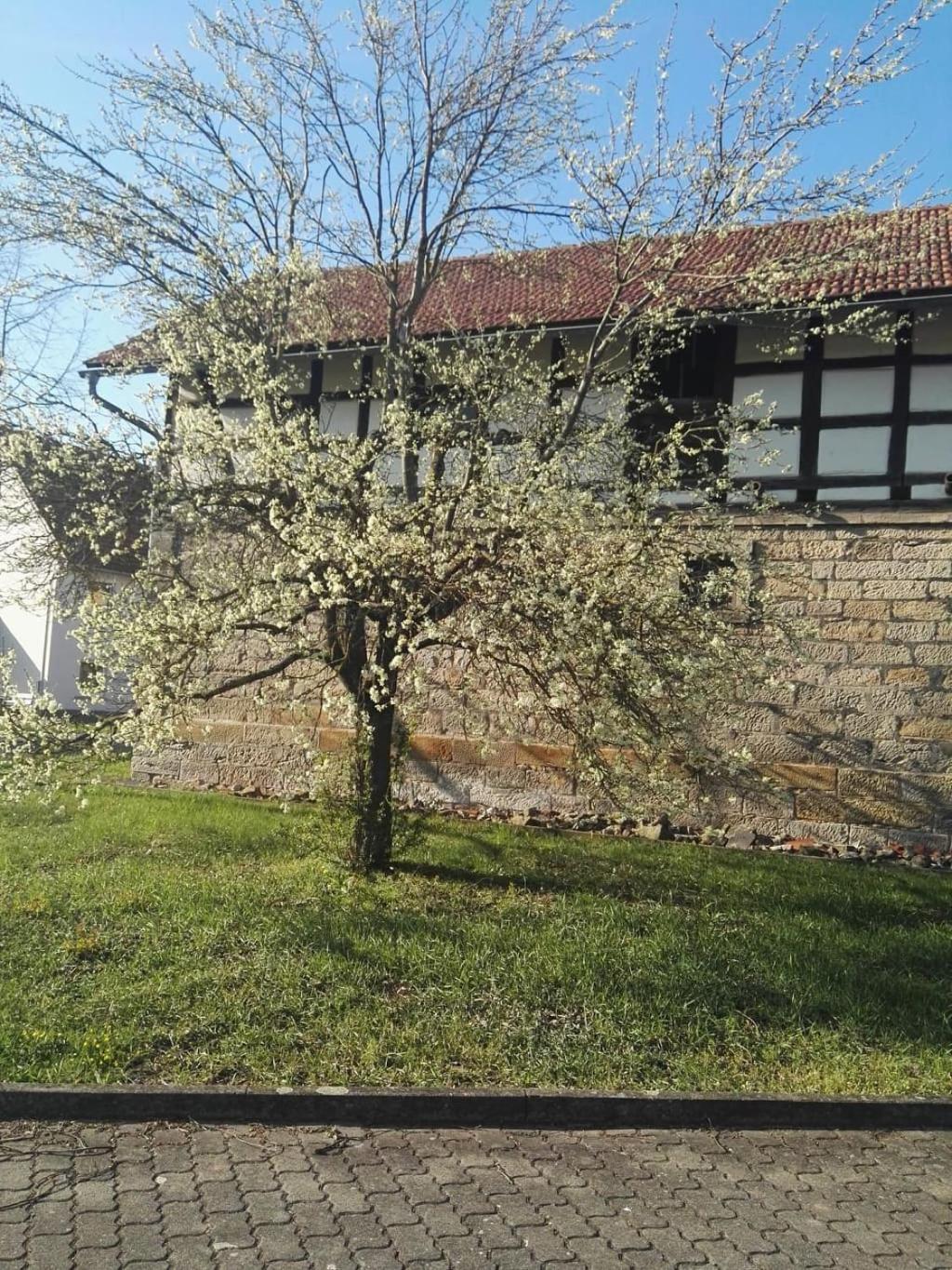 Gaestehaus Zum Gesundheitszentrum Matz Sulzdorf an der Lederhecke Екстериор снимка